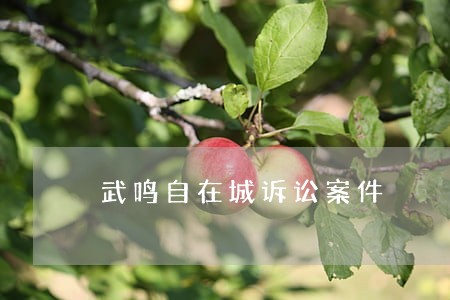 武鸣自在城诉讼案件 武鸣自在城诉讼案件