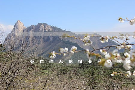死亡的人信用卡严重逾期后果 死亡的人信用卡严重逾期后果