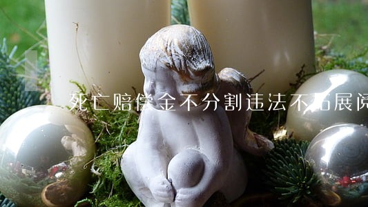 死亡赔偿金不分割违法不拓展阅读 死亡赔偿金不分割违法不拓展阅读