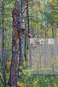 死亡赔偿金到法院了 死亡赔偿金到法院了
