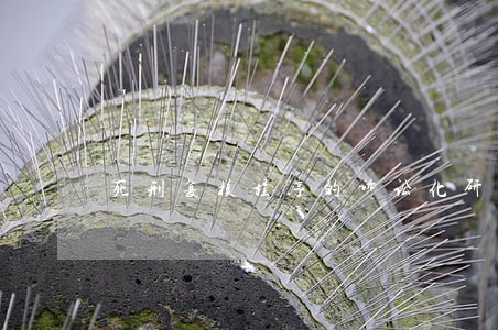 死刑复核程序的诉讼化研究 死刑复核程序的诉讼化研究