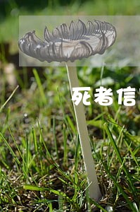死者信用卡逾期 死者信用卡逾期