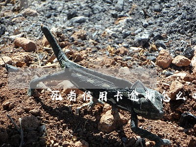 死者信用卡逾期怎么办 死者信用卡逾期怎么办
