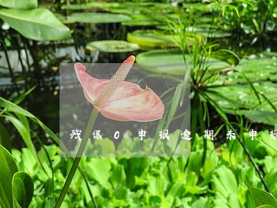 残保0申报逾期未申报怎么处理 残保0申报逾期未申报怎么处理