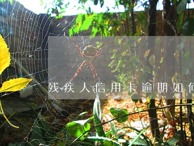 残疾人信用卡逾期如何协商