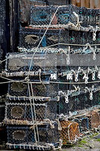 残疾人信用卡逾期报案