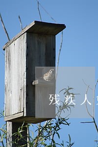 残疾人免费法律咨询电话 残疾人免费法律咨询电话