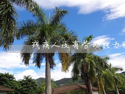 残疾人没有劳动能力可以离婚吗 残疾人没有劳动能力可以离婚吗
