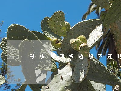 残疾人网贷逾期不还的后果 残疾人网贷逾期不还的后果
