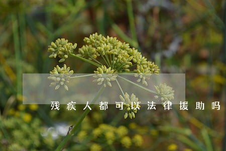 残疾人都可以法律援助吗
