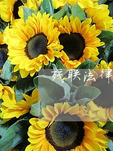 残联法律援助站工作站简介 残联法律援助站工作站简介