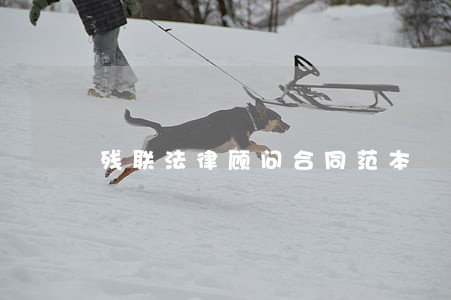 残联法律顾问合同范本