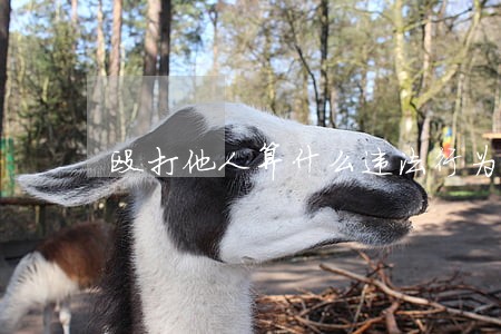 殴打他人算什么违法行为