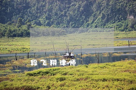 段飞翔律师 段飞翔律师