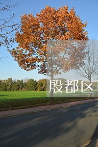 殷都区司法局李庆军 殷都区司法局李庆军