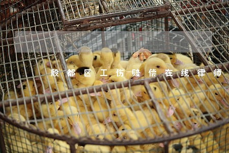 殷都区工伤赔偿在线律师 殷都区工伤赔偿在线律师