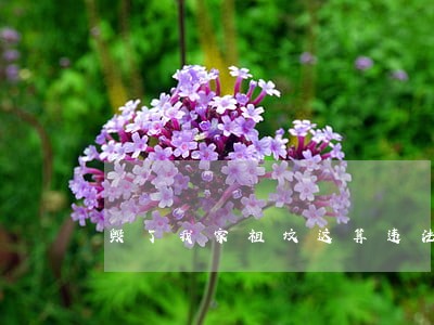 毁了我家祖坟这算违法吗 毁了我家祖坟这算违法吗