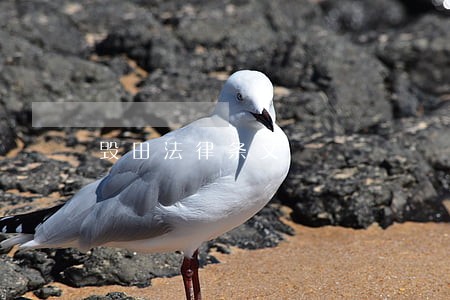 毁田法律条文