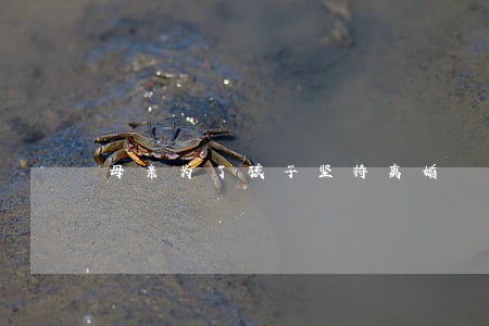 母亲为了孩子坚持离婚 母亲为了孩子坚持离婚