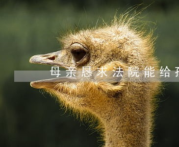 母亲恳求法院能给孩子一次机会 母亲恳求法院能给孩子一次机会