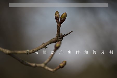 母亲的房产离婚如何分割 母亲的房产离婚如何分割
