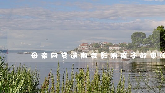母亲网贷逾期会影响孩子政审吗 母亲网贷逾期会影响孩子政审吗