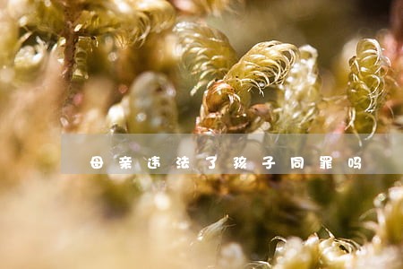 母亲违法了孩子同罪吗 母亲违法了孩子同罪吗