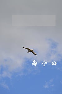 每个公司都有法律顾问吗 每个公司都有法律顾问吗