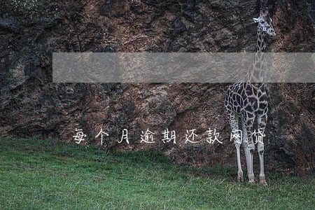 每个月逾期还款网贷 每个月逾期还款网贷