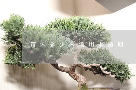 每天多少人信用卡逾期 每天多少人信用卡逾期