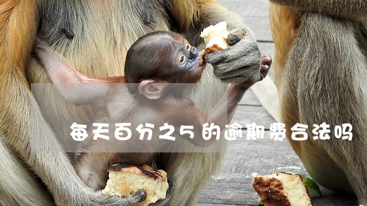 每天百分之5的逾期费合法吗 每天百分之5的逾期费合法吗