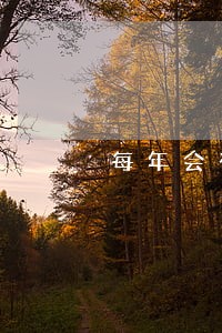 每年会有多少人信用卡逾期 每年会有多少人信用卡逾期