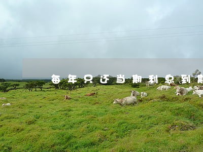 每年只还当期利息到期再还本金 每年只还当期利息到期再还本金