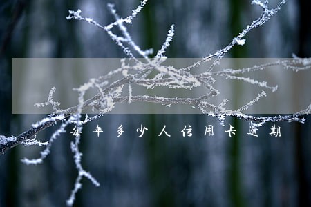 每年多少人信用卡逾期 每年多少人信用卡逾期