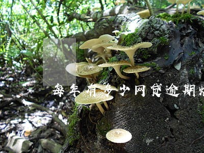 每年有多少网贷逾期烂帐
