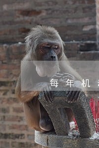 每年机动车违法数量 每年机动车违法数量