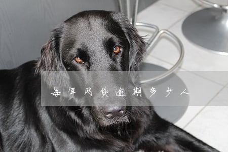 每年网贷逾期多少人 每年网贷逾期多少人