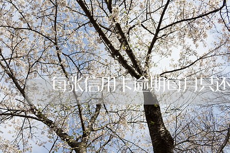 每张信用卡逾期每月只还100 每张信用卡逾期每月只还100