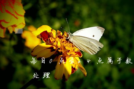 每日0点至24点属于数据维护期暂停违法处理 每日0点至24点属于数据维护期暂停违法处理