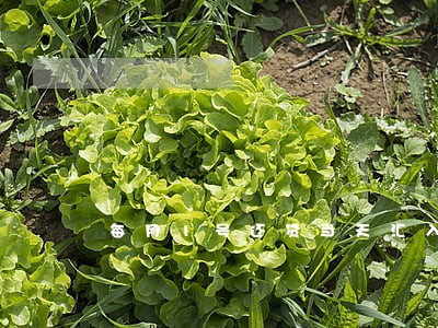 每月1号还贷当天汇入算逾期嘛 每月1号还贷当天汇入算逾期嘛