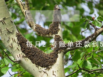 每月2号账单还款到5号算逾期