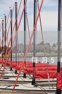 每月500万逾期多久会上征信