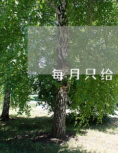 每月只给利息还本金 每月只给利息还本金