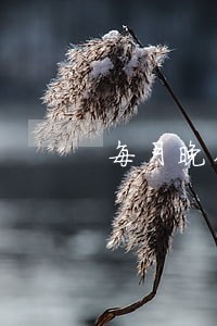 每月晚几天还信用卡算逾期吗
