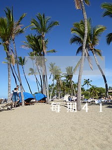 每期412元逾期三天 每期412元逾期三天