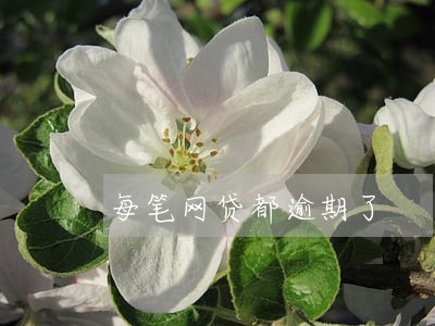 每笔网贷都逾期了 每笔网贷都逾期了