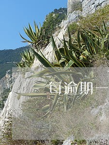 每逾期一天按照1支付违约金