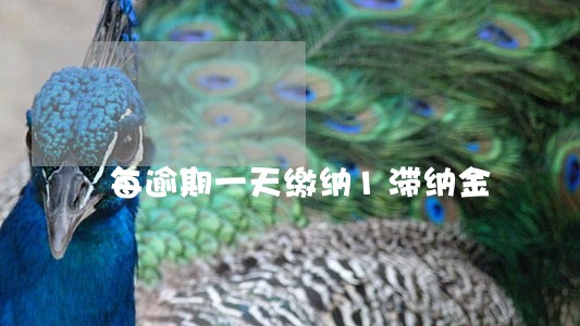 每逾期一天缴纳1滞纳金 每逾期一天缴纳1滞纳金