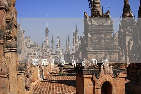 毒品100g刑法