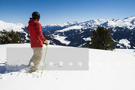毒品犯罪中程序违法是什么 毒品犯罪中程序违法是什么
